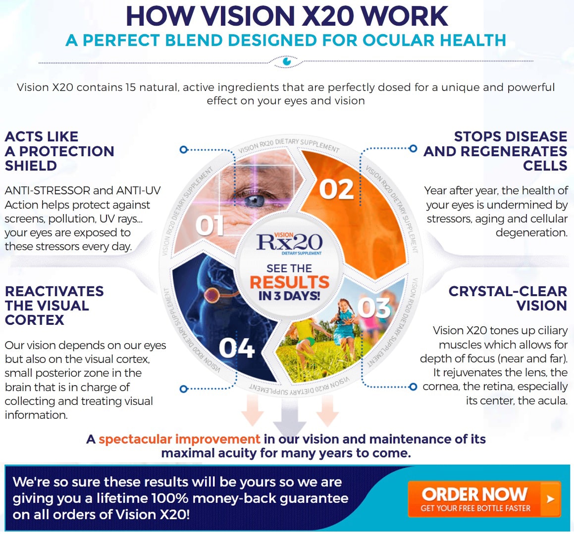 how vision rx20 work