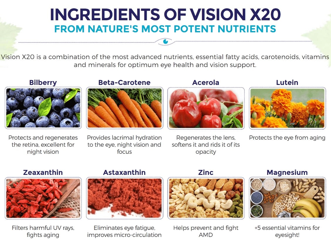 vision rx20 ingredients